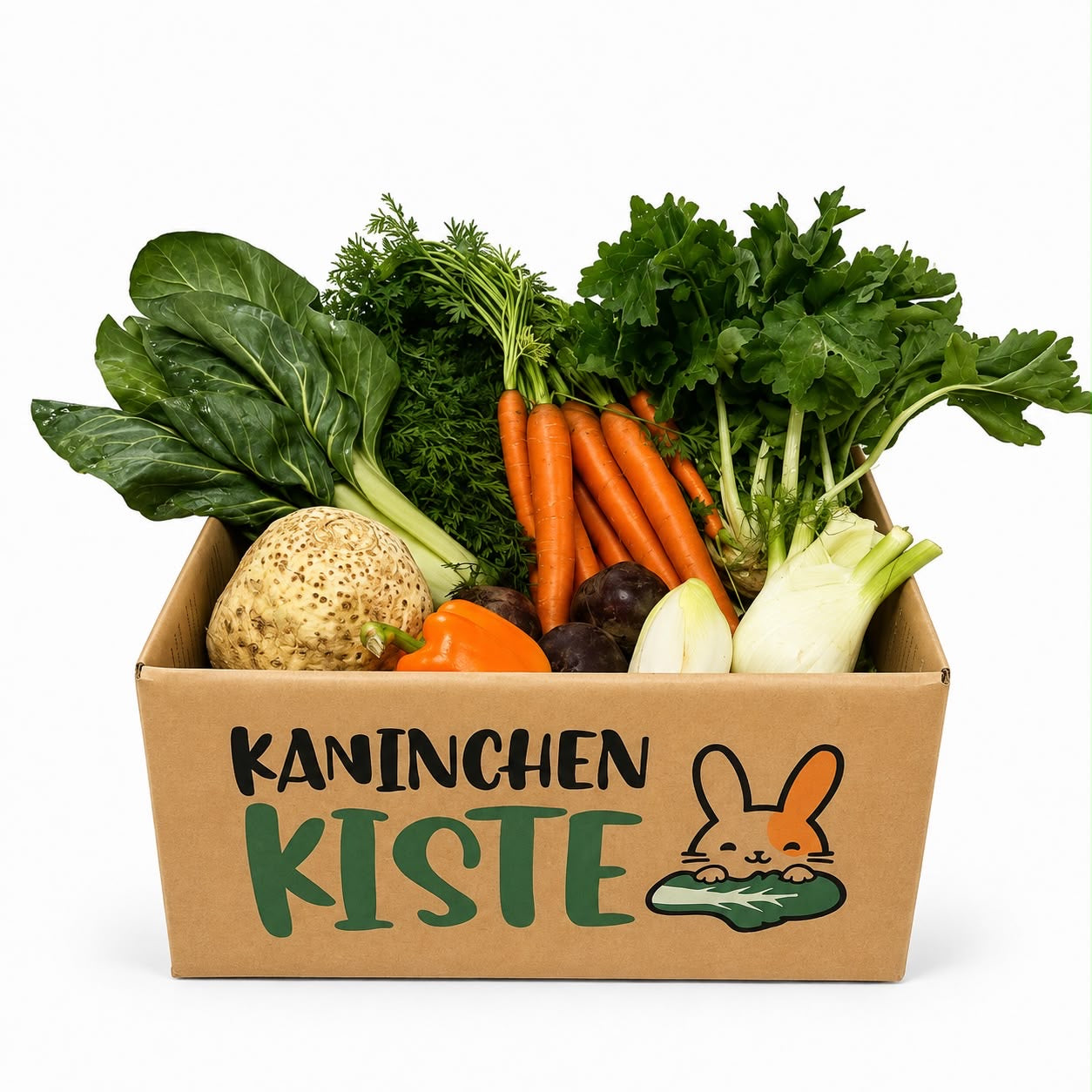 Frischekiste Gemüse