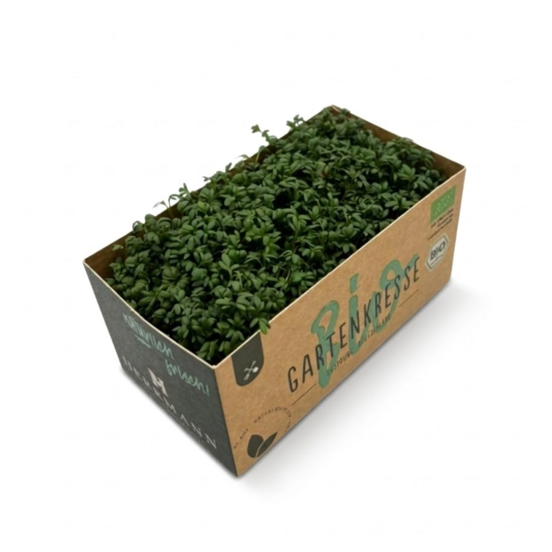 Gartenkresse Bio