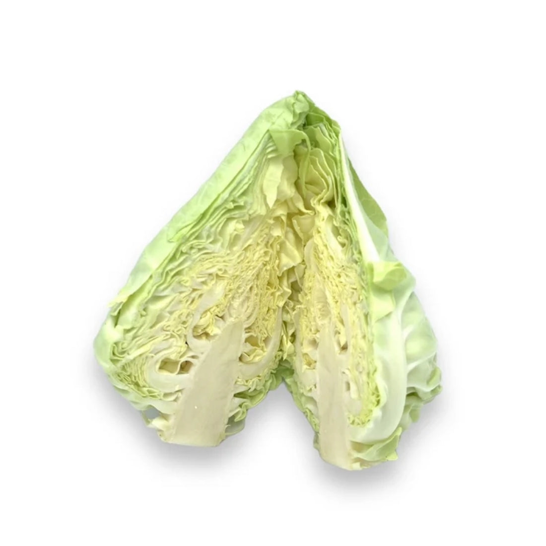 Spitzkohl