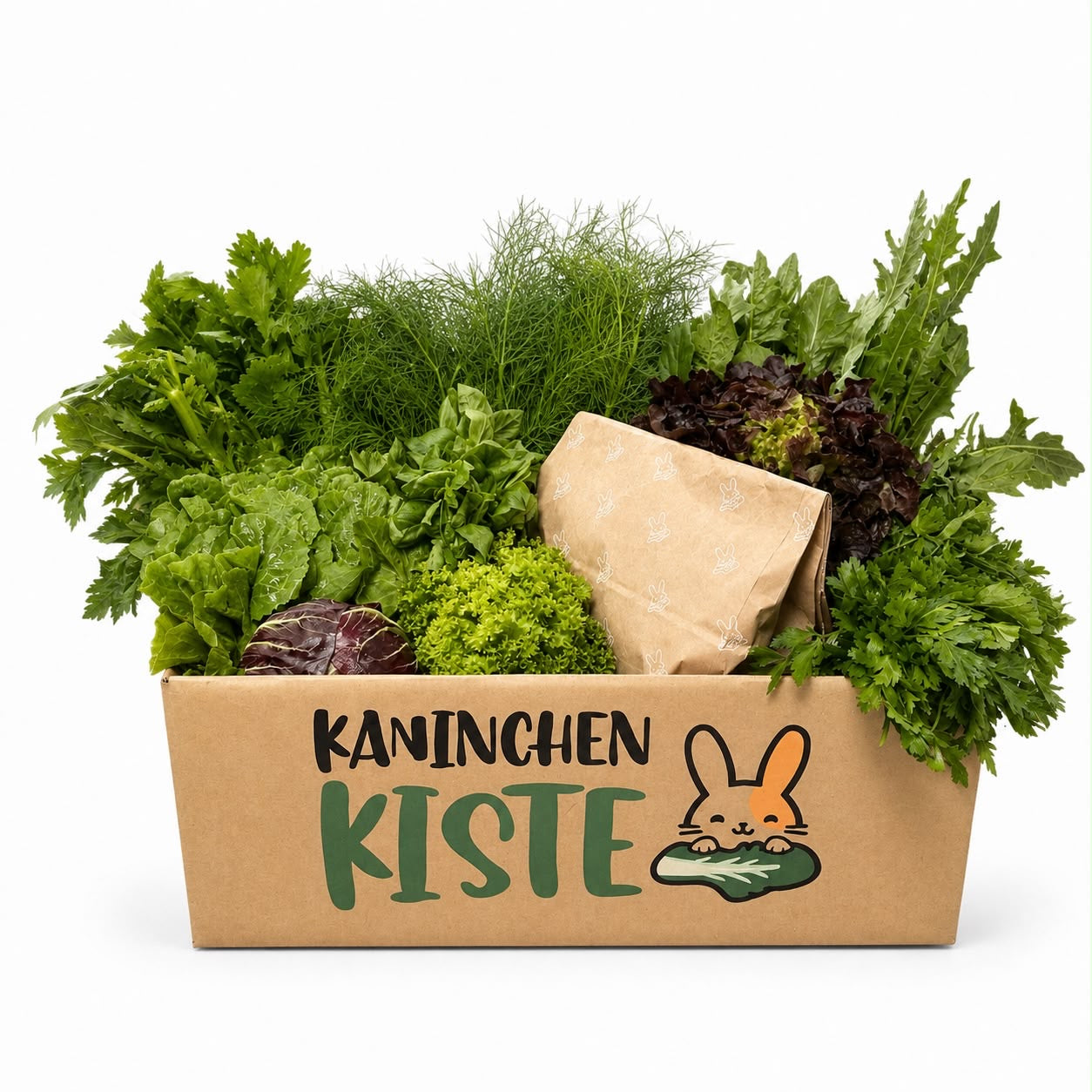 Kattis Frischekiste