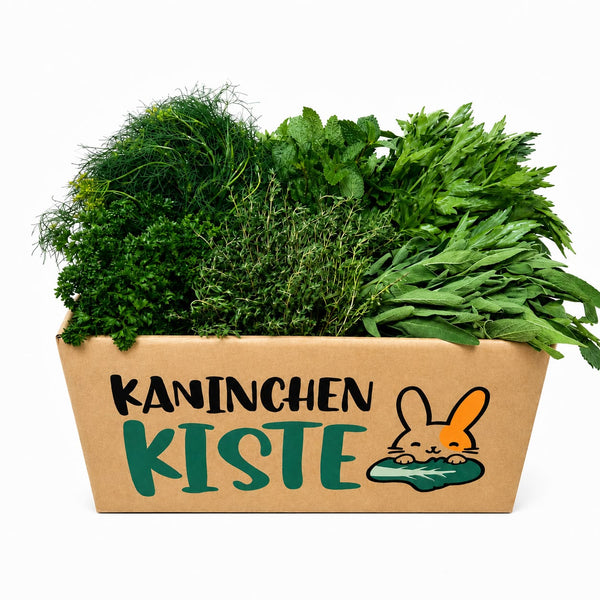 Frischekiste Kräuter