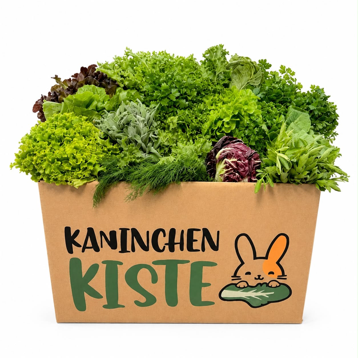 Frischekiste KräuSa - Kräuter und Salat