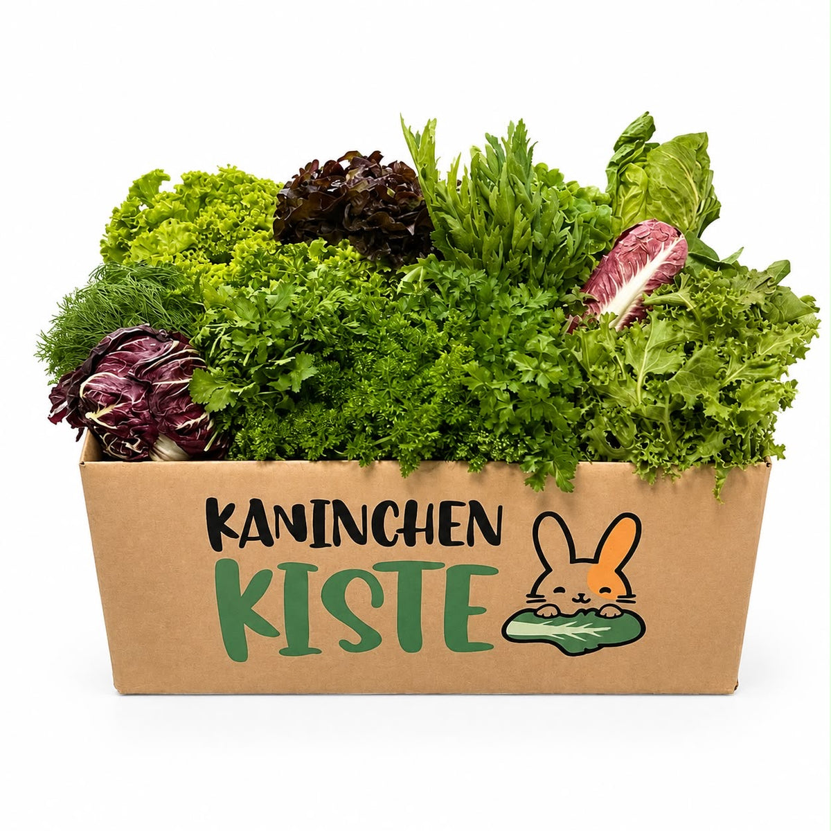Frischekiste KräuSa - Kräuter und Salat