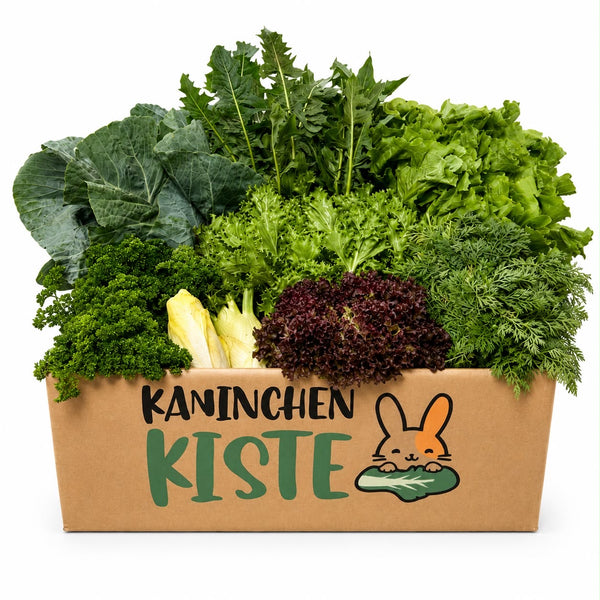 Frischekiste Bauchwohl