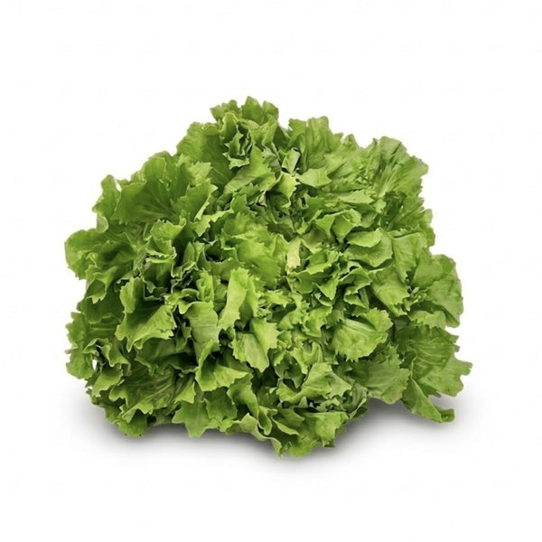 Endiviensalat