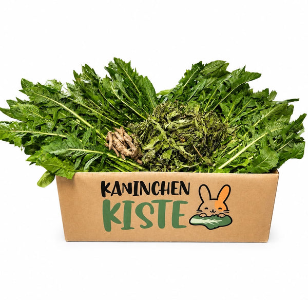 Frischekiste Löwenzahnmix