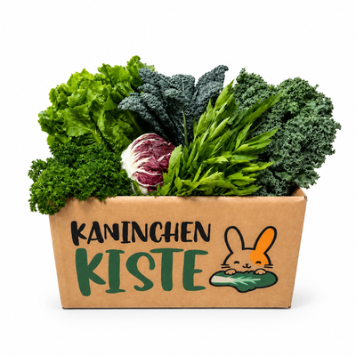 Frischekiste Blase - Niere