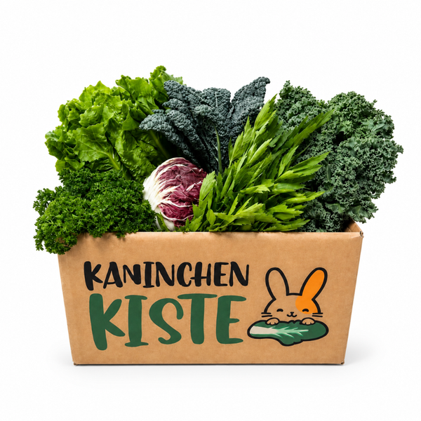 Frischekiste Blase - Niere