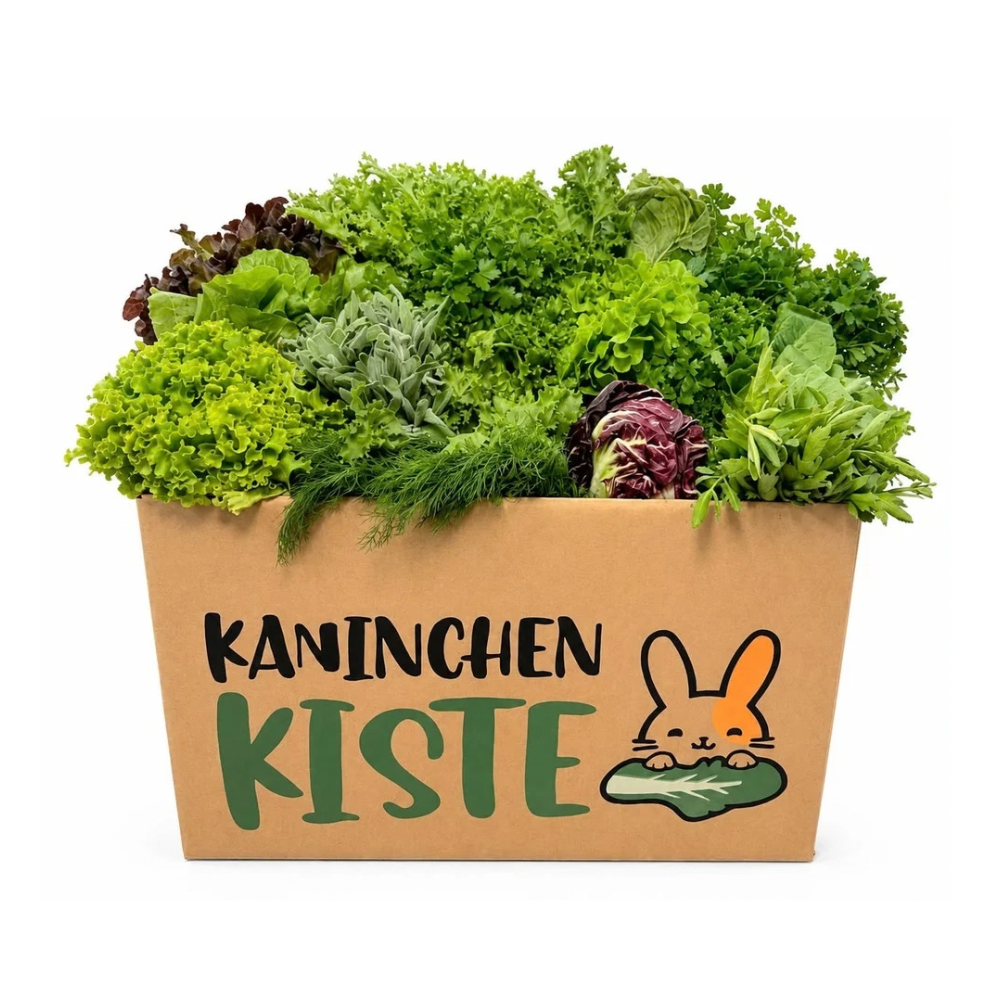 Frischekiste KräuSa - Kräuter und Salat