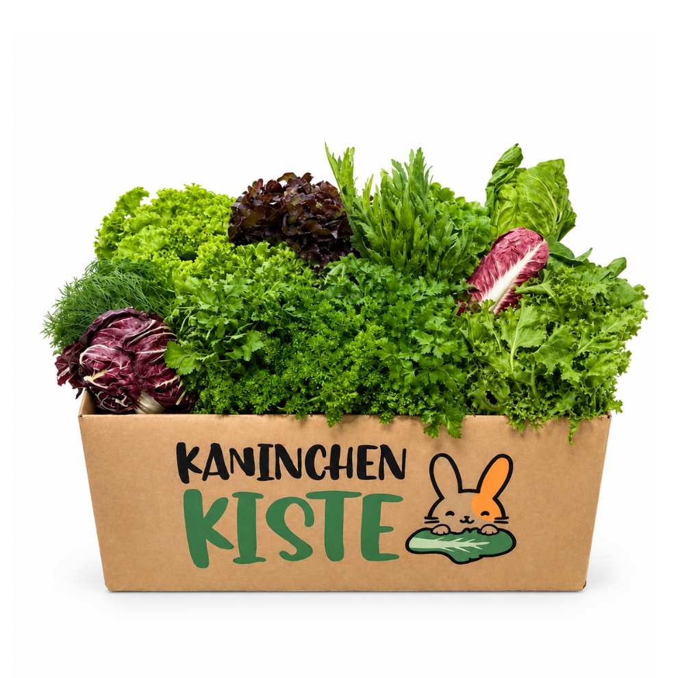 Frischekiste KräuSa - Kräuter und Salat