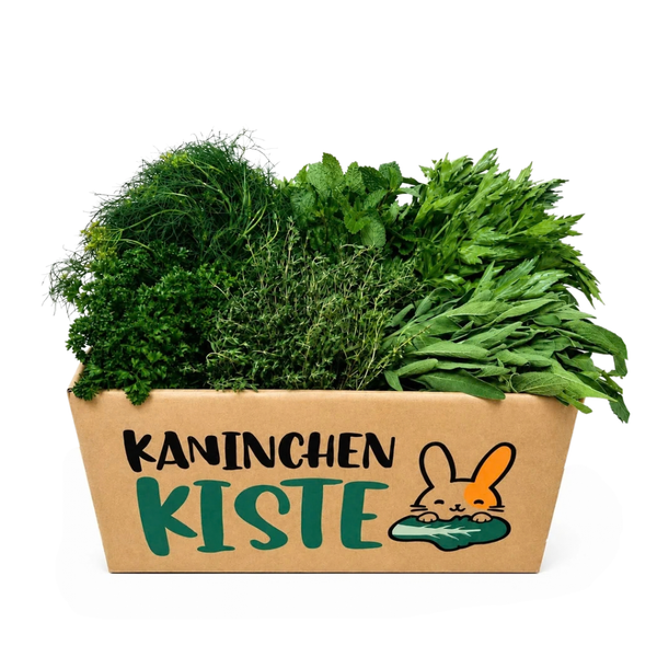 Frischekiste Kräuter