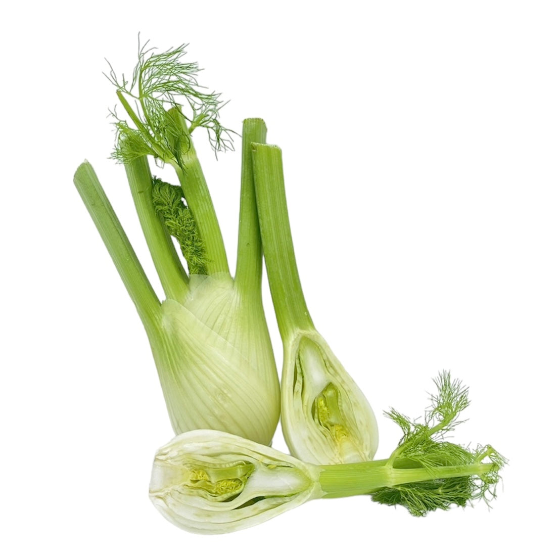 Fenchel