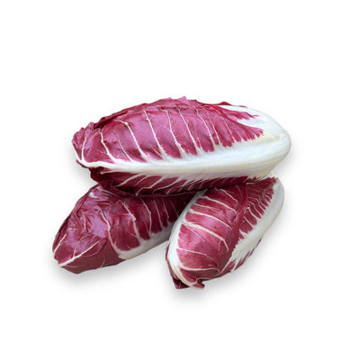 Radicchio Trevisano