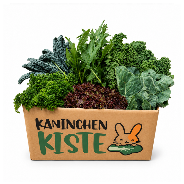 Kennenlern - Frischekiste