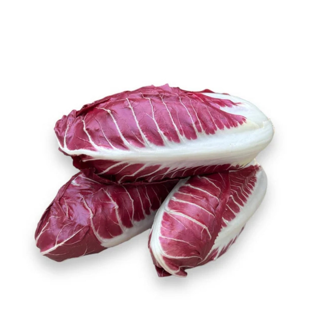 Radicchio Trevisano