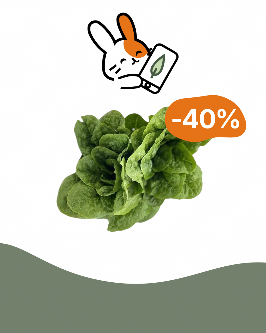 Spare 40% auf Romanasalat