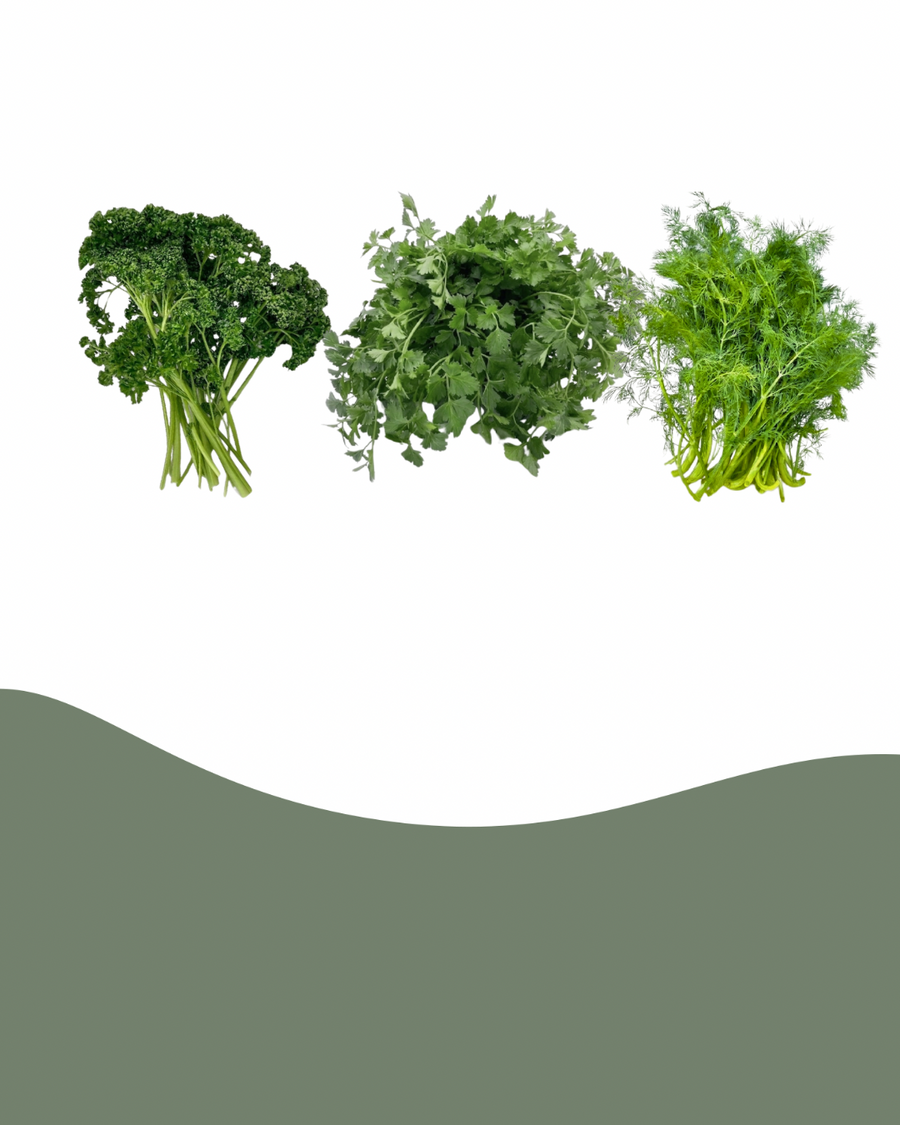 Spare 40% auf Petersilie & Dill
