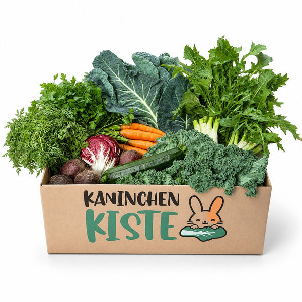 Frischekiste Herbst Special