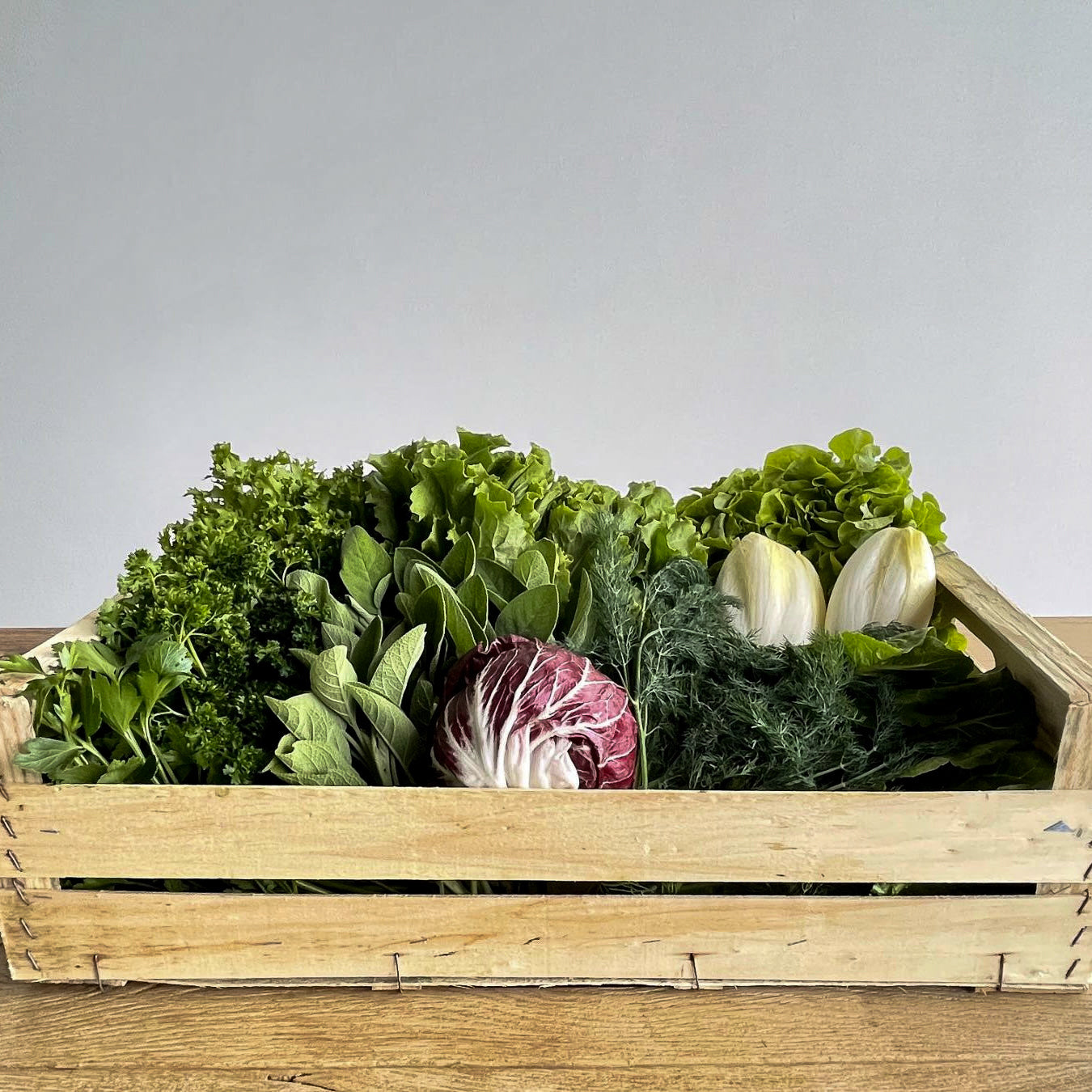Frischekiste KräuSa - Kräuter und Salat