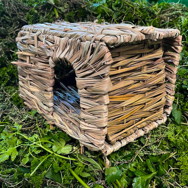 Gras-Haus mit 2 Eingängen