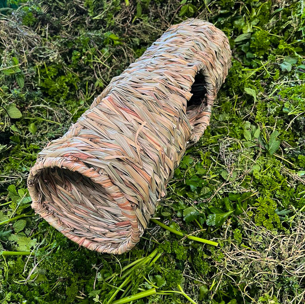 Grastunnel lang, 4 Eingänge